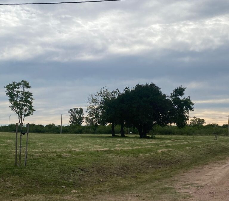 Terreno M5 en Loteo Buenavista -801m2- Copiar