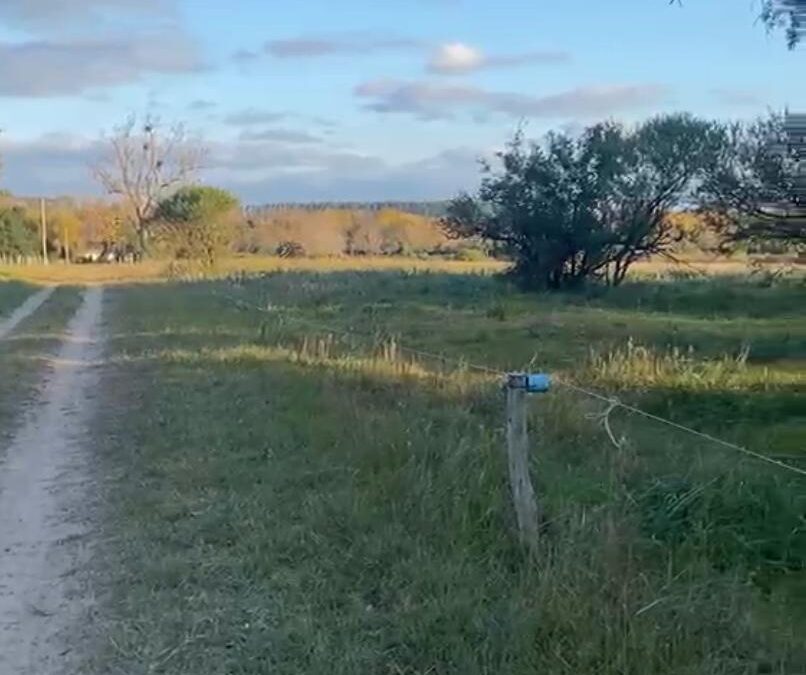 Campo 20 Hectáreas en  Zona La Tigrera
