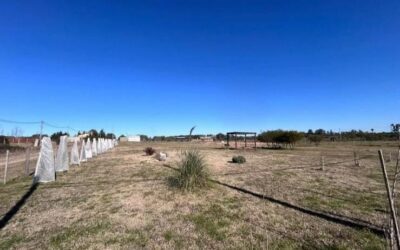 lote chacras 3 oferta 1 Lote de 3.100 m² en Loteo Chacras III OPORTUNIDAD!!!