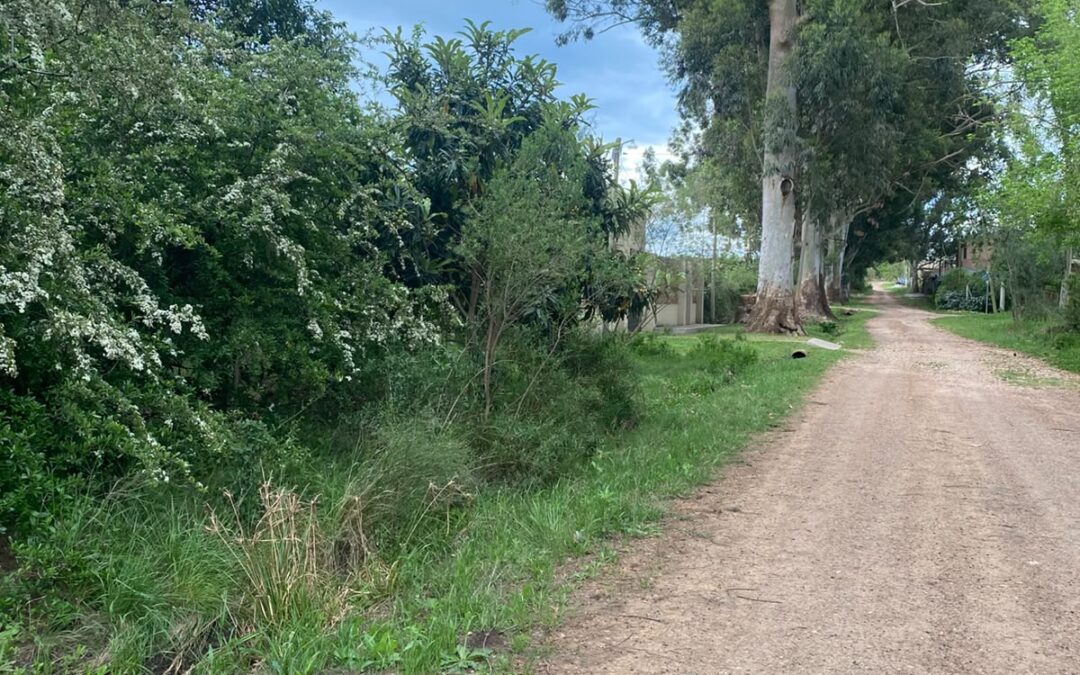 Lote de 780 m² en el ingreso a Concepción del Uruguay