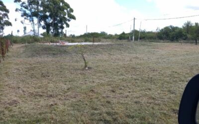 Terreno A4 en loteo El Bosque - 1022 m2 - - principal