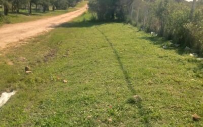 Terreno B7 en loteo de Quintas - 1050 m2- - principal