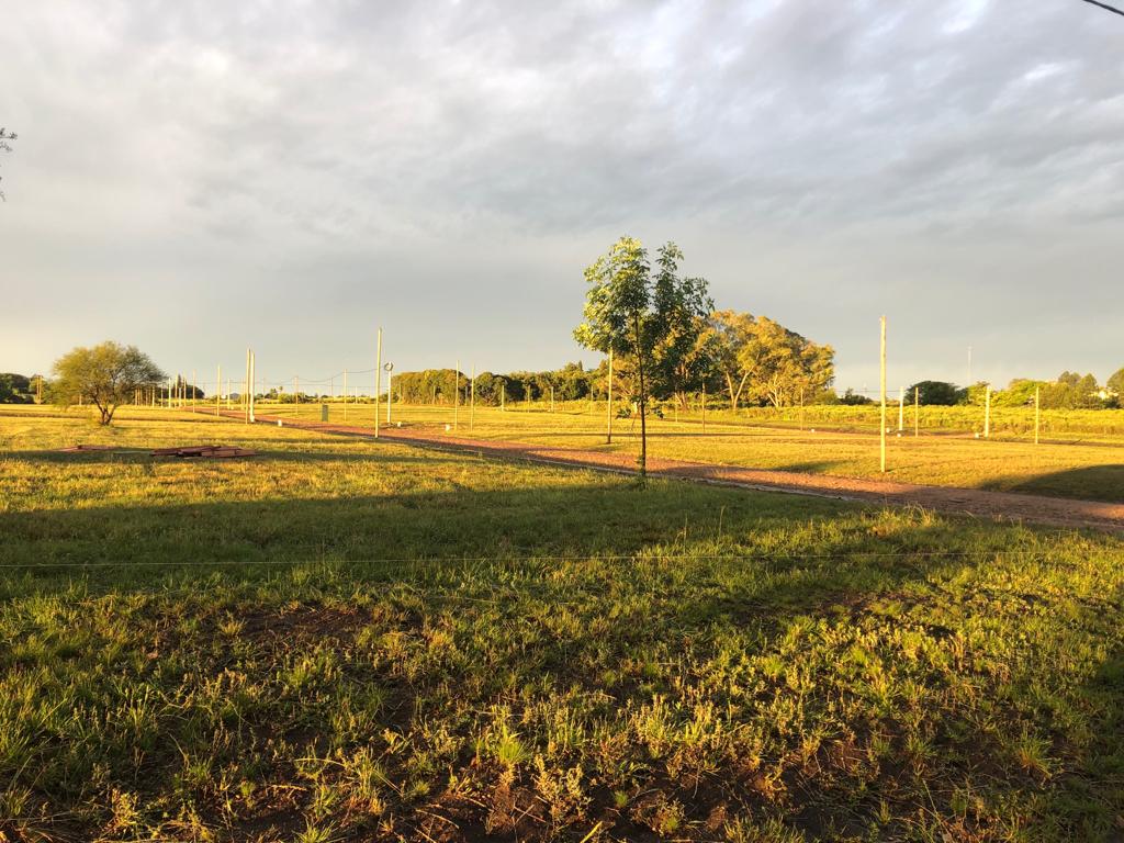 Terreno I1 en Loteo Loma Verde – 475 m2 – – principal