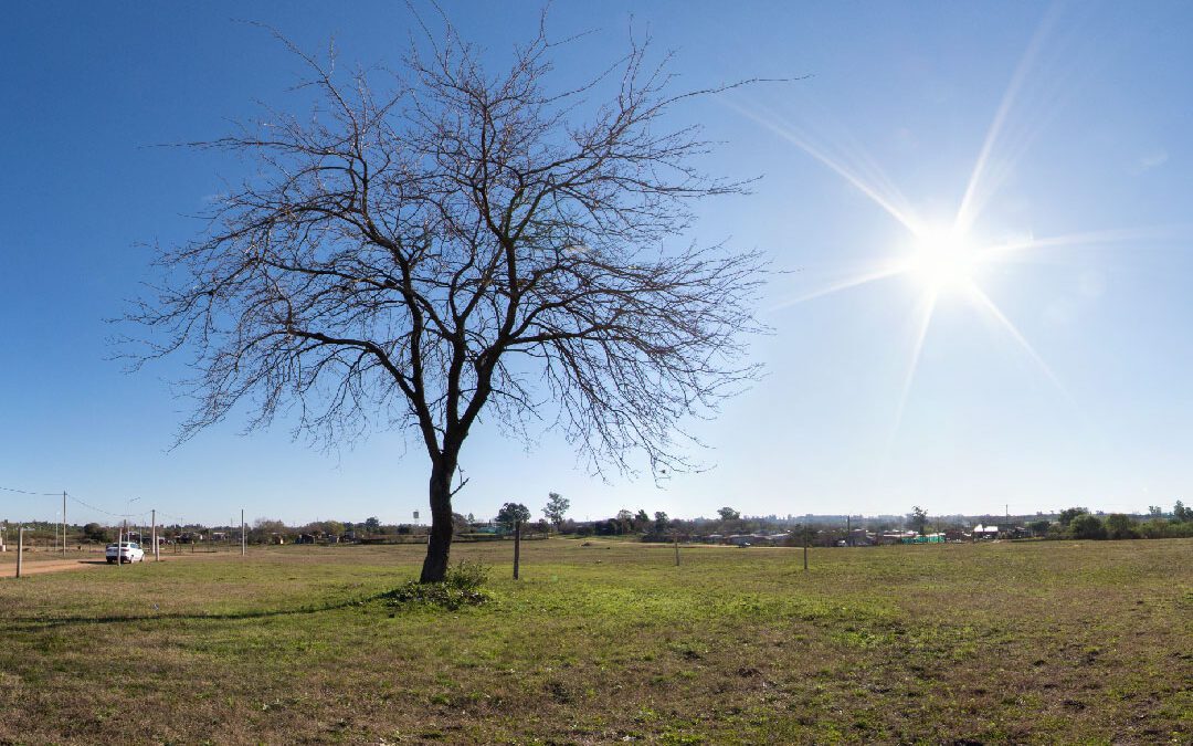 Loteo Villa Nueva -Manzana 5  Lote en  955 m2 –