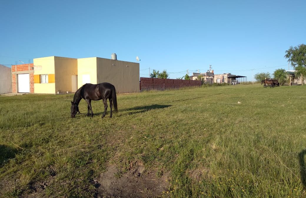 Lotes en San Justo -544m2